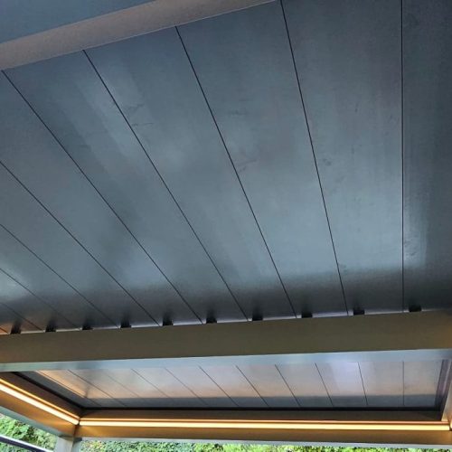 WhatsApp Image 2026-02-08 at 10.14.03 AM